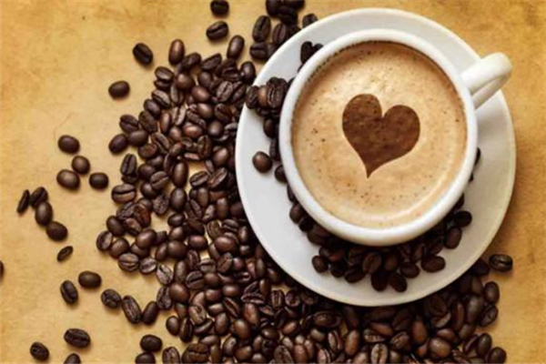 咖啡之翼智能咖啡机咖啡豆